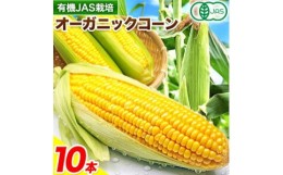 【ふるさと納税】有機JAS栽培 とうもろこし オーガニック コーン 10本 伊場ファーム《8月中旬-9月中旬頃より順次出荷》北海道 浦幌町 朝