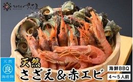 【ふるさと納税】厳選！海鮮BBQ 人気ペアセット「天然さざえ & 天然赤エビ」約4〜5人前（サザエ1？ 赤えび10尾）これがあれば間違いなし