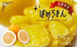 【ふるさと納税】高級 果実 「 大玉 」 ぽめろまん 6個入り 【 数量限定 】 | フルーツ 果物 くだもの 柑橘 柑橘類 ミカン みかん 熊本県