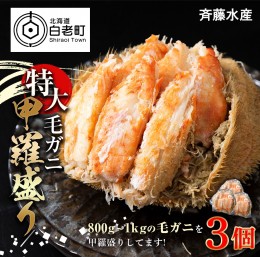 【ふるさと納税】 特大 毛ガニ 甲羅盛り 3個＜斎藤水産＞