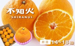 【ふるさと納税】玉名産  「 不知火 」 厳選 14〜18個 | 果物 くだもの フルーツ 柑橘 柑橘類 みかん 不知火 雑柑 熊本県 玉名市 厳選 