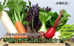 【ふるさと納税】【自然が育む新鮮野菜】こばやし季節の野菜詰め合わせセット