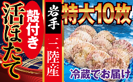 【ふるさと納税】【定期便12回】朝獲れ三陸活ホタテ (特大 10枚入）生食用