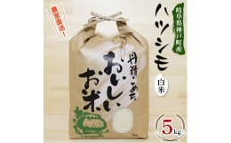 【ふるさと納税】＜令和5年産＞岐阜県神戸町:農家直送!岐阜ハツシモ　白米　5kg【1354301】