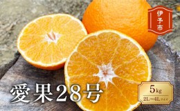 【ふるさと納税】みかん 愛媛 愛果28号 5kg ご家庭用 2L〜4L 大玉 人気 数量限定 先行予約 柑橘 伊予市 【2024年11月下旬発送】｜B83