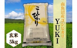 【ふるさと納税】【令和6年産 新米】南魚沼産コシヒカリ「YUKI」(玄米5kg)×全6回