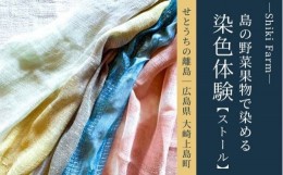 【ふるさと納税】島の色に染めてみよう！大崎上島の野菜果物染め体験ペア利用（ストール）