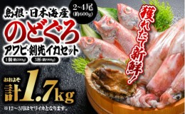 【ふるさと納税】鮮魚セットA YM-1 のどぐろ アワビ イカ 島根 山陰 日本海産