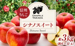 【ふるさと納税】信州りんご シナノスイート 3kg ※クレジット決済限定 りんご リンゴ 林檎 長野 フルーツ 果物 信州産 長野県産 特産 産