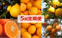 【ふるさと納税】【5回定期便】フジカワ果樹園オリジナル・新季節の柑橘セット