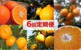 【ふるさと納税】【6回定期便】フジカワ果樹園オリジナル・新季節の柑橘セット