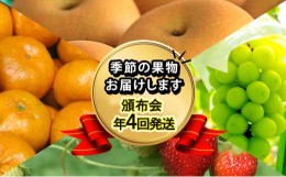 【ふるさと納税】フルーツ 特産果実 定期便 年間4回 お楽しみ 果物