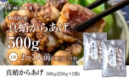 【ふるさと納税】絶品！子供から大人まで大満足！香川県産 たこ 唐揚げ 500g（250g×2袋）