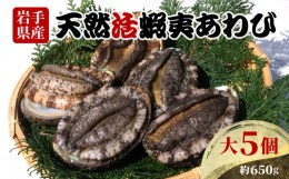 【ふるさと納税】あわび 大サイズ 5個 約650g 三陸産 天然 活鮑 刺身 冷蔵 旬 貝 蝦夷あわび 魚介類 期間限定 産地直送 岩手 大船渡市