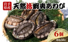 【ふるさと納税】あわび 6個 約650g 三陸産 天然 活鮑 刺身 冷蔵 旬 貝 蝦夷あわび 魚介類 期間限定 産地直送 岩手 大船渡市