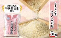 【ふるさと納税】京都山城産　特別栽培米　やましろの恵　5kg(令和5年産)【1233378】