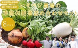 【ふるさと納税】いそベジ農場の季節の野菜詰め合わせセット〔IV-01〕