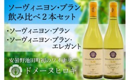 【ふるさと納税】白 ワイン ソーヴィニヨン・ブラン 2種 飲み比べ 750ml×2本 [ヴィニョブル安曇野 DOMAINE HIROKI 長野県 池田町 481101