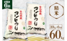 【ふるさと納税】6回 定期便 お米 コシヒカリ 精米 10kg×6回 総計60？ [サンライス青木 富山県 朝日町 34310019] 米 ごはん 白米 こしひ