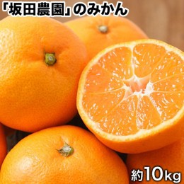 【ふるさと納税】熊本県玉東町産限定『坂田農園』のみかん 大容量 約10kg(2S-Lサイズ)《10月上旬-1月末頃出荷》予約受付中 フルーツ 秋 