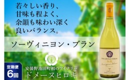 【ふるさと納税】【6回定期便】ソーヴィニヨン・ブラン 750ml×1本＜ヴィニョブル安曇野 DOMAINE HIROKI＞【長野県池田町】