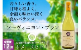 【ふるさと納税】【12回定期便】ソーヴィニヨン・ブラン 750ml×1本＜ヴィニョブル安曇野 DOMAINE HIROKI＞【長野県池田町】