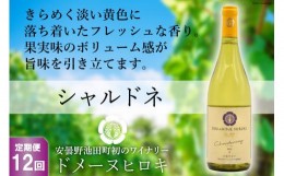 【ふるさと納税】【12回定期便】【落ち着いたフレッシュな香り】シャルドネ 750ml×1本＜ヴィニョブル安曇野 DOMAINE HIROKI＞【長野県池