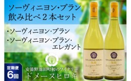 【ふるさと納税】【6回 定期便 】白 ワイン ソーヴィニヨン・ブラン 2種 飲み比べ 750ml×2本 [ヴィニョブル安曇野 DOMAINE HIROKI 長野