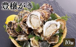 【ふるさと納税】豊穣かき 10個 生食用 殻付 冷凍 牡蠣 魚貝類 生牡蠣 殻付き かき カキ 鍋 岩手県 赤崎産 三陸 1万円 10000円