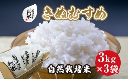 【ふるさと納税】１６９．日置さん家の自然栽培米「きぬむすめ」玄米　3kg×3袋 2024年産