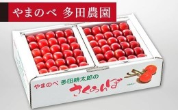 【ふるさと納税】【紅秀峰】本詰 約500g×2【やまのべ多田耕太郎のさくらんぼ 多田農園】