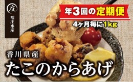 【ふるさと納税】【定期便/年3回】絶品！子供から大人まで大満足！香川県産たこのからあげ1kg（500g×2袋）