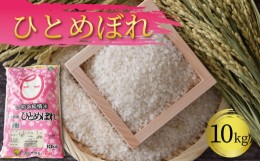 【ふるさと納税】精米 10kg 一等米 ひとめぼれ 岩手県産 ご飯 白米