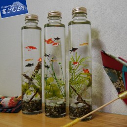 【ふるさと納税】ハーバリウム　金魚ボトル　3本セット 花 造花 ハーバリウム フラワー インテリア 植物 金魚 セット