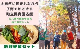 【ふるさと納税】大自然に囲まれながら、子育てができる町立保育園応援＋農産物直売所　旬の野菜セット〔SA-07-07〕