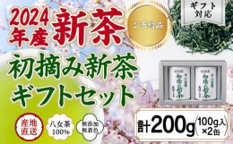 【ふるさと納税】【予約限定茶】希少品「2024年産 初摘み新茶」100g缶詰 ２缶化粧箱入 ギフト対応 ＜岩崎園製茶＞