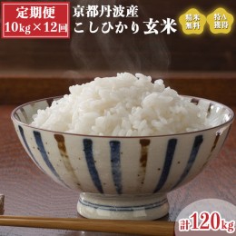 【ふるさと納税】【定期便】米 令和5年産 京都 丹波産 こしひかり 玄米 10kg（5kg×2袋）12回 計120kg｜5つ星お米マイスター 厳選 受注精