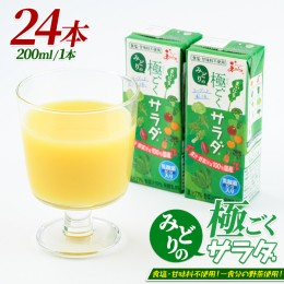 【ふるさと納税】乳酸菌を加えた野菜ジュース!「みどり」の極ごくサラダ(200ml×24本) keizai-1253