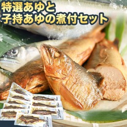 【ふるさと納税】「極みの個食」特選あゆと子持あゆの煮付セット 日高川漁業協同組合《90日以内に出荷予定(土日祝除く)》 和歌山県 日高