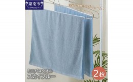 【ふるさと納税】ハンガーで干せるミニバスタオル スカイブルー2枚【039E-047】