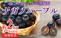 【ふるさと納税】皮ごと食べられる黒葡萄 ナガノパープル約2kg ※クレジット限定 葡萄 ぶどう ブドウ 長野 フルーツ 果物 信州産 長野県