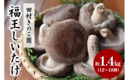 【ふるさと納税】【2024年10月発送】福王しいたけ 約1.4kg