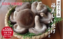 【ふるさと納税】【2024年10月発送】福王しいたけ 中〜大サイズ 約550ｇ