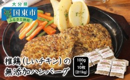 【ふるさと納税】椎鶏（しいチキン）の無添加ハンバーグ1kg