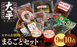 【ふるさと納税】大平のお漬物こだわり まるごとセット / 漬物 南島原市 / 大平食品 [SAK002]