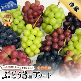 【ふるさと納税】ぶどう　3種アソート アソート 山梨県産 シャインマスカット 果物 フルーツ シャインマスカット フルーツ 高級 2024年 