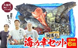 【ふるさと納税】【定期便6回】朝獲れ海の幸セット（旬の鮮魚、海藻などの詰合せ）鮮魚 詰め合わせ 海鮮 魚介 魚貝 新鮮 旬 お楽しみ