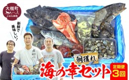 【ふるさと納税】【定期便3回】朝獲れ海の幸セット（旬の鮮魚、海藻などの詰合せ）鮮魚 詰め合わせ 海鮮 魚介 魚貝 新鮮 旬 お楽しみ