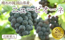 【ふるさと納税】GC15【先行予約】岡山県産　ニューピオーネ 2房（1房480g以上）約1kg　化粧箱入り