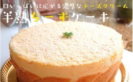 【ふるさと納税】ポールリカールのくにさき半熟ちーずケーキ